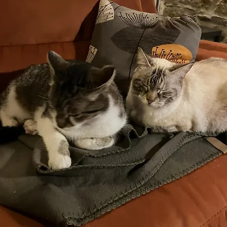 Gornje Baredine 12 Donje Baredine