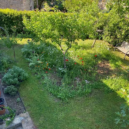 Villa Gornje Baredine 12