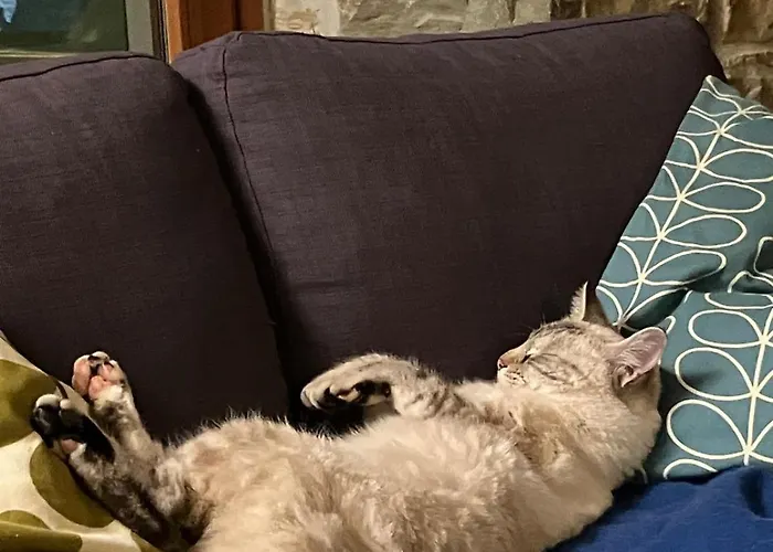 Gornje Baredine 12 Donje Baredine