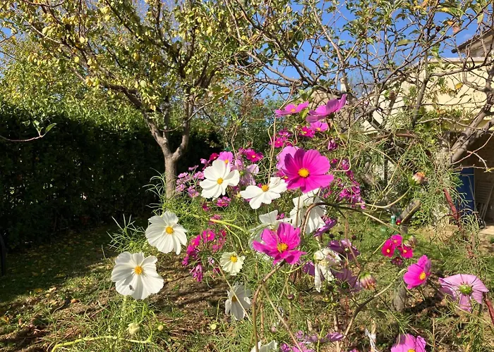 Villa Gornje Baredine 12