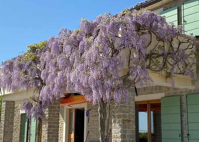 Gornje Baredine 12 * Donje Baredine
