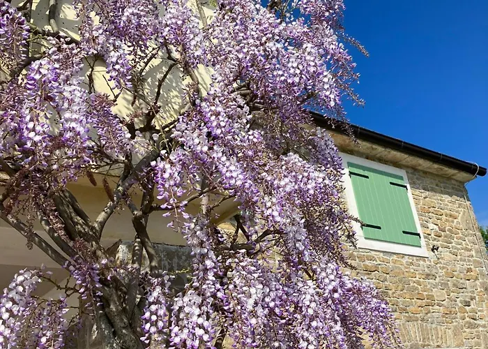 Gornje Baredine 12 *