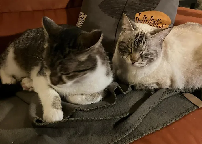 Gornje Baredine 12 Donje Baredine