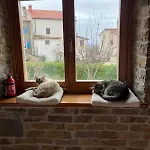Gornje Baredine 12 Villa *