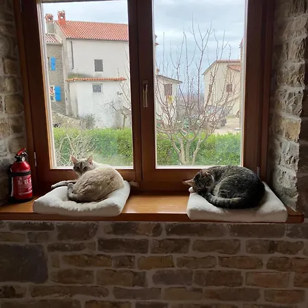 Gornje Baredine 12 Villa *